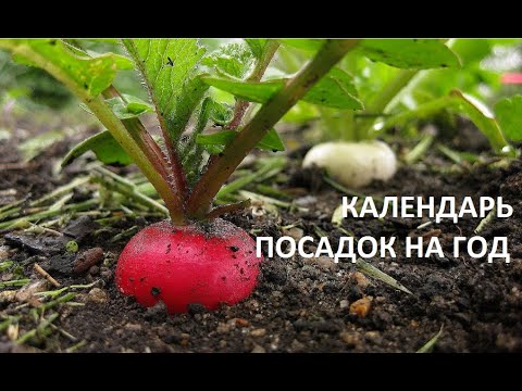 Видео: Календарь посадок на год.