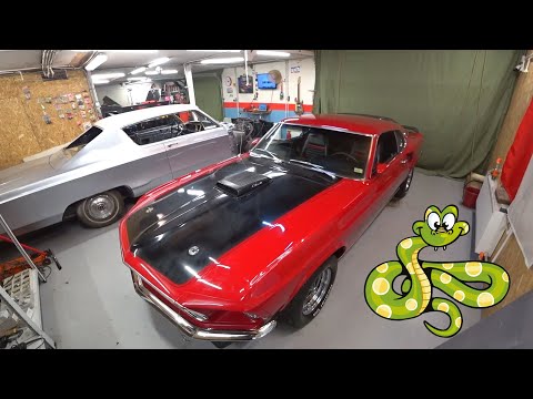 Видео: Великий и могучий! Mustang Mach 1 Cobra Jet!