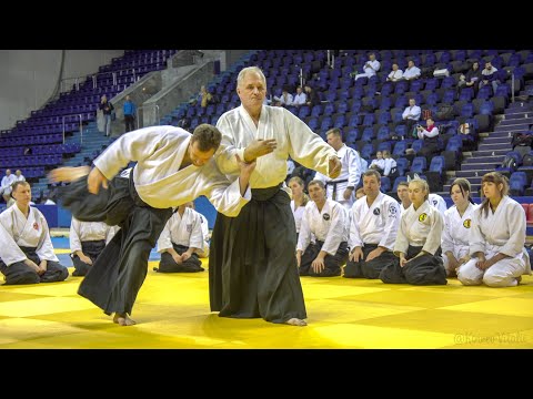 Видео: 2019.12.01 Мастер класс Айкидо Найдов-Железов О.К.