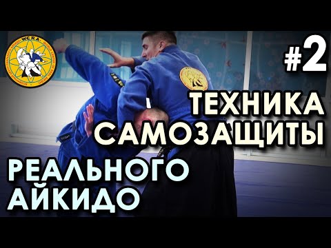 Видео: Техника самозащиты Реального Айкидо: семинар Душана МИТРОВИЧА (продолжение).