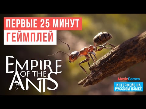 Видео: Empire of the Ants Первые 25 минут Демо прохождение