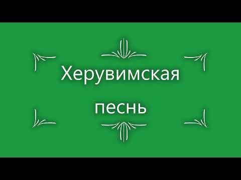 Видео: Херувимская Свияжская  Никита Воронин