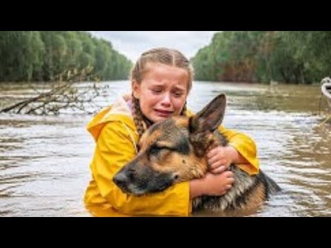 Видео: Маленькая девочка спасла полицейскую собаку K9 от утопления — дальше случилось невероятное!
