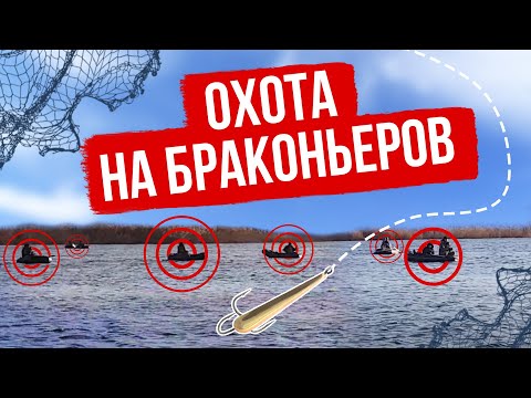 Видео: Охота на БРАКОНЬЕРОВ / Днепр (Драк, сети, пауки)