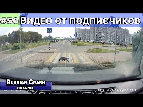 Видео: ДТП. Видео  от подписчиков канала RussianCrash. Выпуск #50