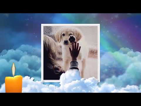 Видео: Мост радуги