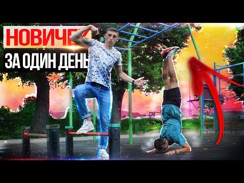 Видео: Что может выучить новичок за один день | Новые Элементы | #4