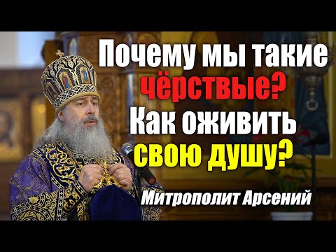 Видео: Почему мы такие чёрствые, как оживить душу? — слово митр. Арсения в Неделю Крестопоклонную 27.3.22 г