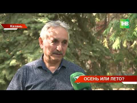 Видео: Продолжение лета: сколько еще продлится аномальная жара в Татарстане?