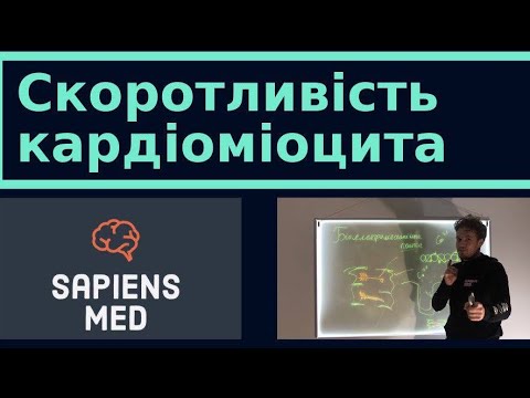 Видео: Фізіологія. Скоротливість кардіоміоцитів