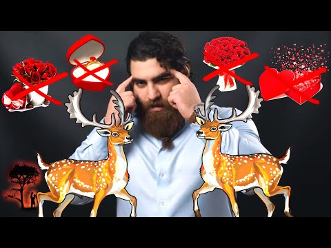 Видео: ВСЁ ЧТО НУЖНО ЗНАТЬ О ЖЕНЩИНАХ! ГАЙД ПО С*КСУ и ОТНОШЕНИЯМ!