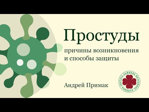 Видео: Простуды - причины возникновения и способы защиты. Лекция Андрея Примака.