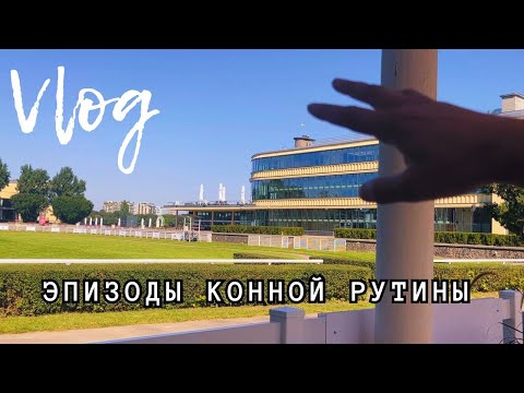 Видео: Эпизоды конной рутины