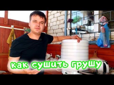 Видео: Как сушить грушу в электро-сушилке