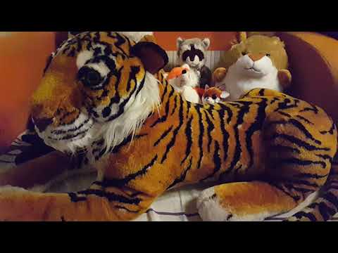 Видео: Все мои мягкие игрушки на январь 2019