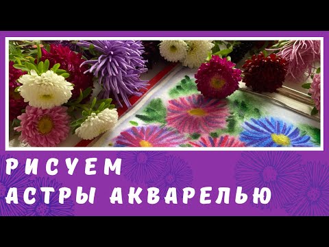 Видео: Рисуем астры акварелью. Натюрморт.