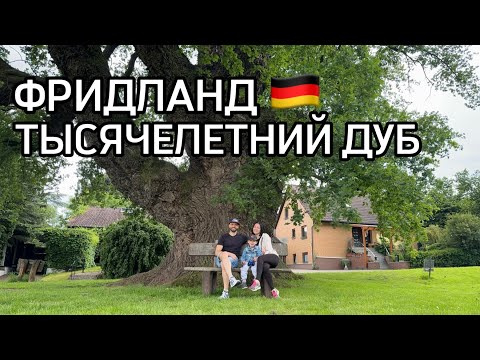 Видео: Фридланд. Германия. Поздние переселенцы. Достопримечательность "Тысячелетний дуб"