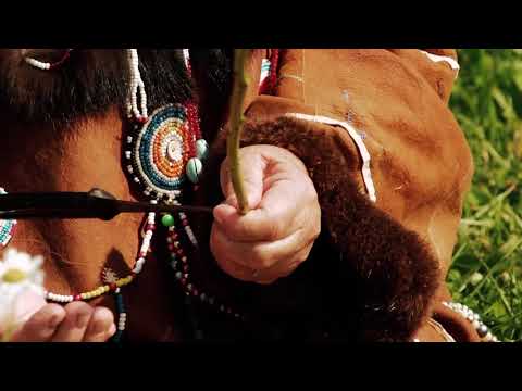 Видео: 12. Корякское плетение из растительных материалов.