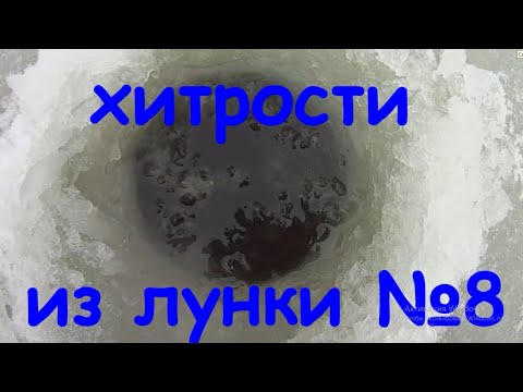 Видео: Хитрости из лунки № 8