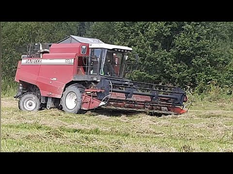 Видео: Полесье GS12 / Уборка зерновых 2025