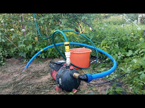 Видео: Немного о БИОгенной составляющей воды