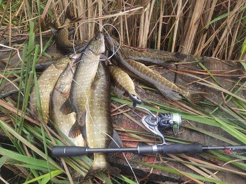 Видео: Обзор посылки с щучьими воблерами Тцуйоки Adept и Sanitar