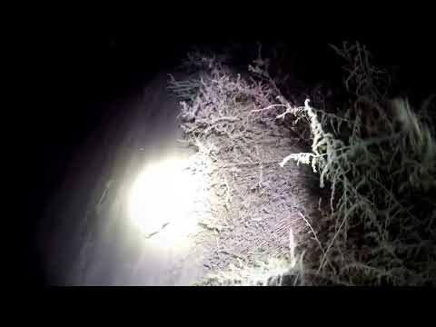 Видео: рыбалка рогаткой (щуки)