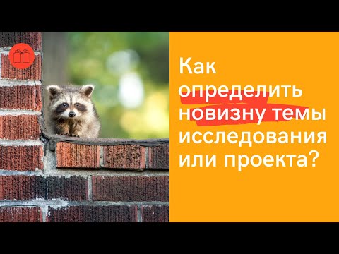 Видео: 4. Как найти новизну?
