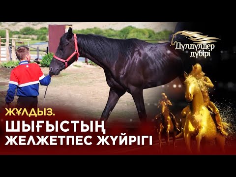 Видео: Жұлдыз. Шығыстың желжетпес жүйрігі.«Дүлдүлдер дүбірі». Бәйге.