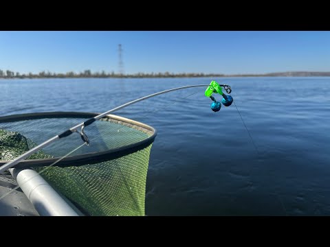 Видео: Рекордный лещ пойман. Ловля леща на кольцо. Рыбалка осенью 2025