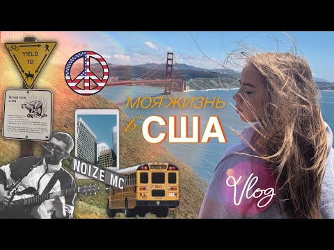 Видео: Неделя из жизни в Америке🇺🇸!!