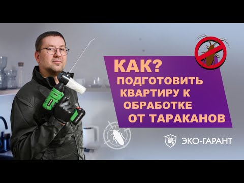 Видео: Как подготовить квартиру к обработке от тараканов.