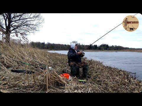 Видео: Рыбалка на донку и поплавок,Рыбка клюёт душа поёт. Сamping ,fishing,bushcraft,