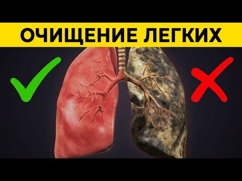 Видео: КУРИШЬ? Этот напиток выгонит все смолы из лёгких | Как очистить легкие после курения?