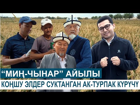 Видео: "МИҢ-ЧЫНАР" АЙЫЛЫНЫН МЭЭНЕТКЕЧ ЭЛИ