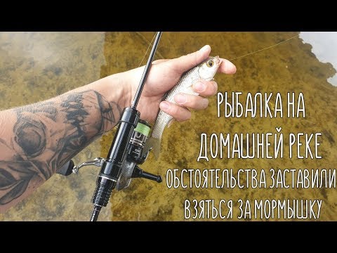 Видео: На мормышку с Hana S69FL-Solid. Рыбалка на домашней реке
