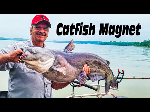 Видео: Эксперт-рыболов делится главными секретами ловли сома на магнит