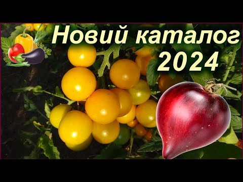 Видео: Колекційні сорти томатів (Новий каталог 2024)