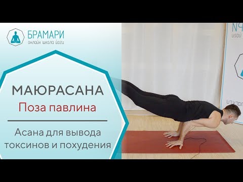Видео: Маюрасана. Поза павлина. Техника выполнения.