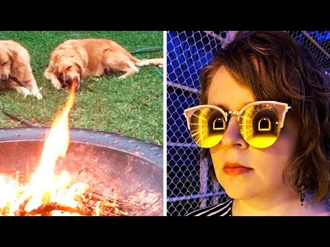 Видео: В эти фото придется долго вглядываться