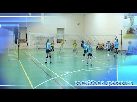 Видео: Волейбол в Красавино