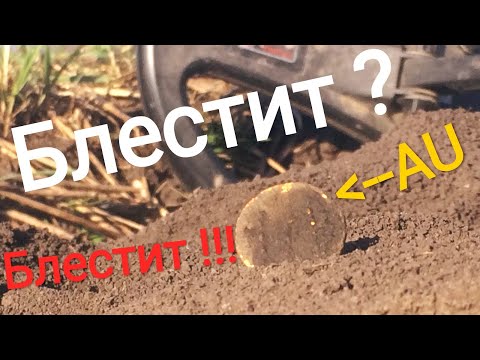 Видео: АУРЕУС НА СЛЕДАХ! БОТАНЫ ПРОПУСТИЛИ-XP Deus ,Equinox КУПИЛИ,а КОПАТЬ-НЕ КУПИЛИ! ПЛАКИРОВАННЫЙ AUREUS