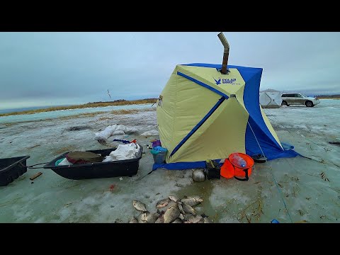 Видео: ТАКОГО НЕ ОЖИДАЛ НИ КТО | ВОДА КРУГОМ, РЫБА КИШИТ и ЛЕЗЕТ ИЗ ЛУНОК | Бешеный клёв весной