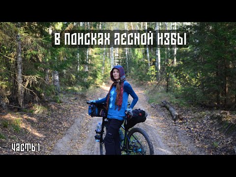 Видео: В поисках лесной избы | По следам волков. Часть 1 | Велопоход