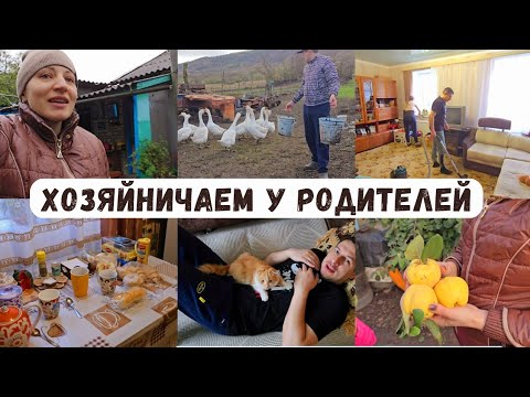 Видео: Хозяйничаем у родителей/Учу городского мужа к сельской жизни/ Чем мы питаемся?!?