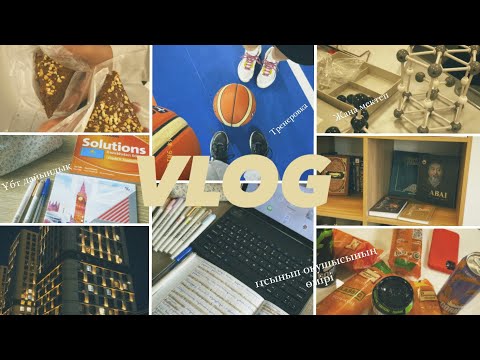 Видео: Vlog/11сынып оқушысының өмірі/менің Ұбт дайындығым,курс📓📖/тренеровка🏀жаңа мектебім🏫