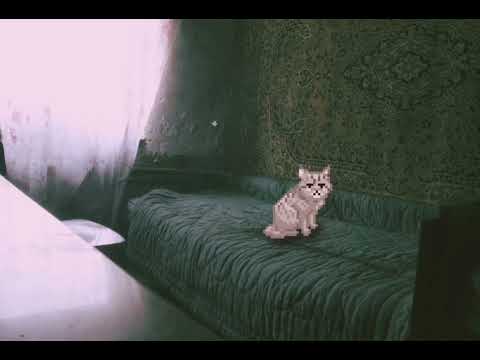 Видео: Автоспорт - я не буду спать (slowed + reverb)