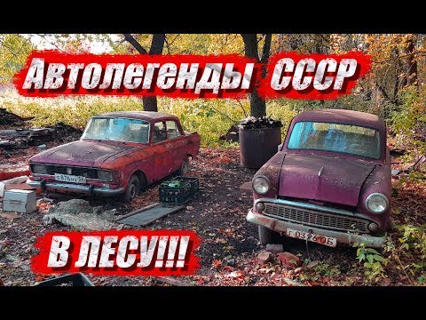 Видео: Брошенные машины в лесу | Оренбургская обл. Бугурусланский р/н с.Алексеевка