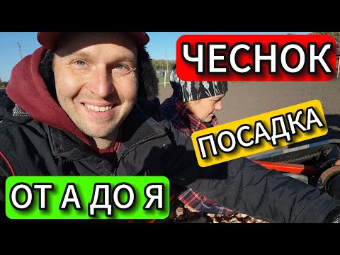 Видео: 😍❤👍 Супер Быстро Посадили Озимый Чеснок #чеснок  @Serverokchannel  #vlog 🍓🍒