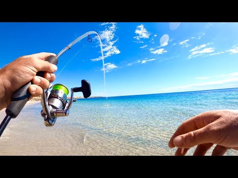 Видео: Как поймать мерланга на поверхностные приманки в районе берегового обрыва. Мерланг в верхней воде